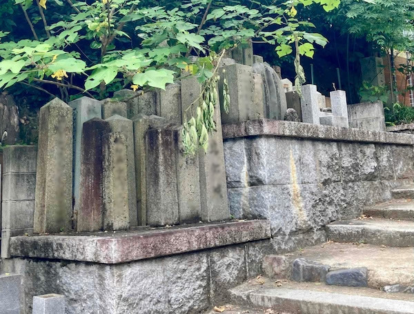 墓守が不在となり、増え続ける無縁墓＝京都市東山区の市営清水山墓地